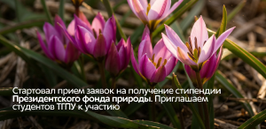 Стартовал прием заявок на получение стипендии Президентского фонда природы. Приглашаем студентов ТГПУ к участию Стартовал прием заявок на получение стипендии Президентского фонда природы. Приглашаем студентов ТГПУ к участию
